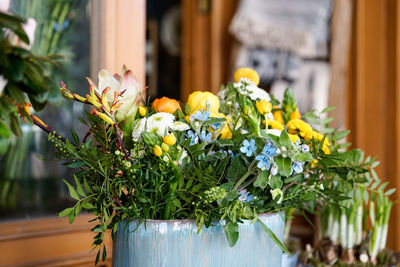 Close-up of potted plant