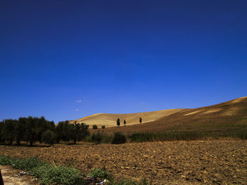 Scenic view of field against clear blue sky