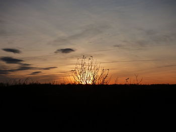 Silhouette of tree against sky during sunset