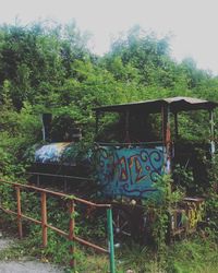 Graffiti on field by trees in garden