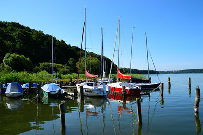 Boats moored in harbor