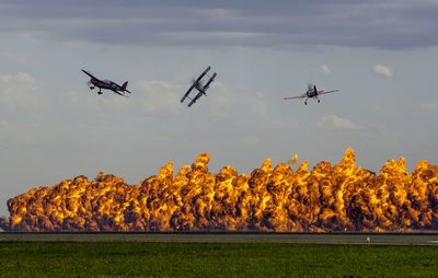 Airplane flying in sky