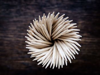 Directly above shot of toothpicks on table