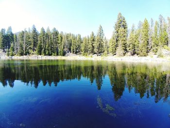 Reflection of trees in lake against sky