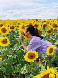 A young woman is walking on a sunflower field