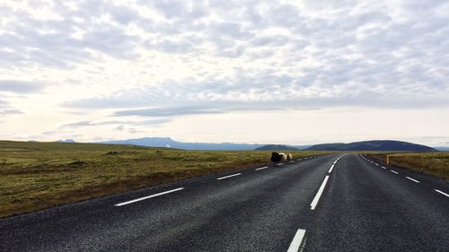 Sheep on empty road against sky