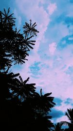 Low angle view of silhouette tree against cloudy sky