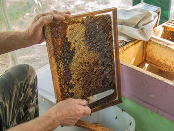 Cropped hand of person holding honey