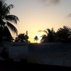 Silhouette palm trees on beach against sky at sunset