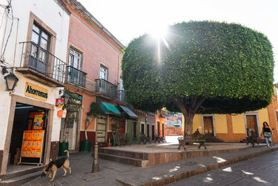 Street amidst buildings in city