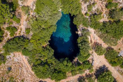 View of waterfall in forest