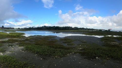 Scenic view of beach against sky