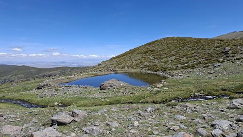 environment