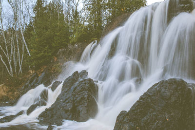 View of waterfall in forest