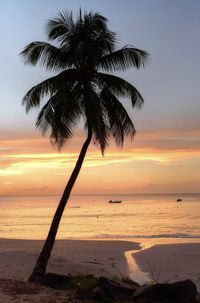 Silhouette palm tree on beach against sky at sunset