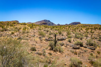 Scenic view of landscape against clear blue sky