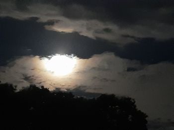 Low angle view of silhouette tree against sky at night