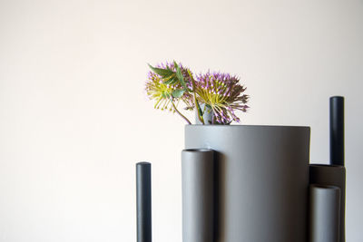 Close-up of flower vase against white background