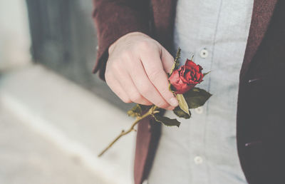 Midsection of man holding a red rose