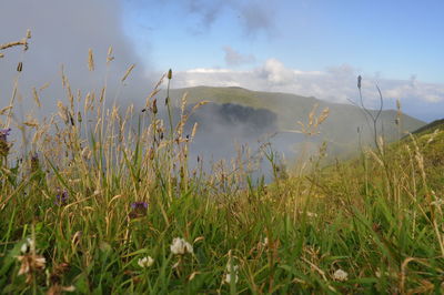 Scenic view of landscape against cloudy sky