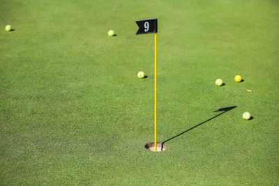 High angle view of golf ball on green grass