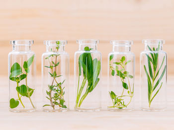 Close-up of bottles