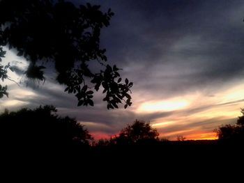 Silhouette trees against sky during sunset