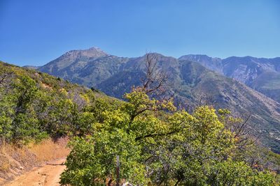 mountain