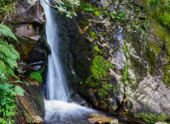 Scenic view of waterfall