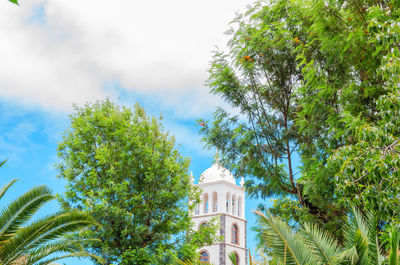 Low angle view of trees and building against sky