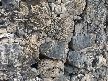 Full frame shot of rocks on field