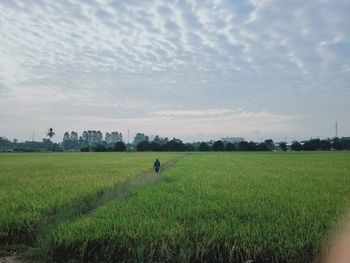 Scenic view of field against sky