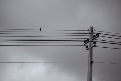 Low angle view of bird perching on cable against sky