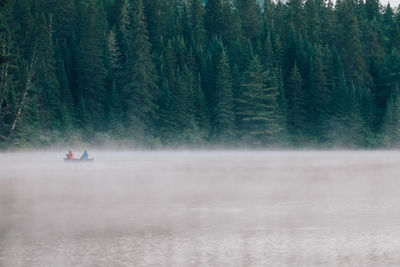 People traveling in boat on lake at forest during foggy weather