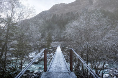 Footbridge amidst trees in forest during winter