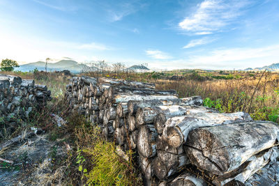 Scenic view of land against sky