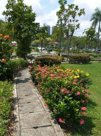 Plants and trees in park