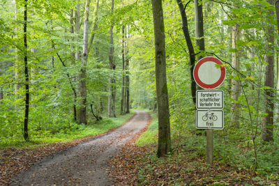 Road sign by trees in forest