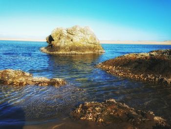 Scenic view of sea against clear blue sky