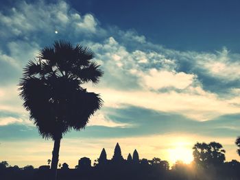 Low angle view of silhouette trees against sky during sunset