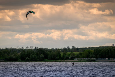 People flying by trees against sky