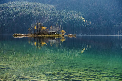 Scenic view of lake in forest
