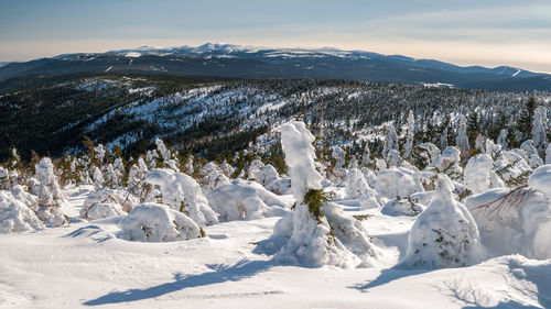 Snow covered landscape against sky