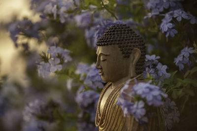 Close-up of purple statue