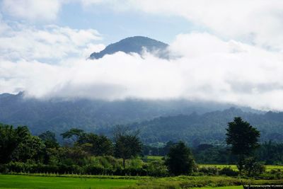 Scenic view of landscape against sky