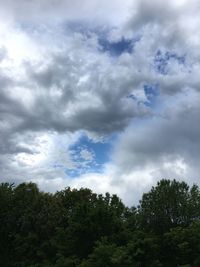 Low angle view of trees against sky