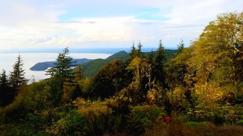 Scenic view of trees against sky during autumn