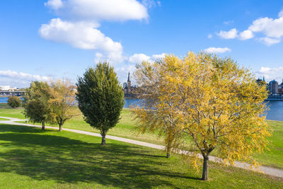 Trees on field against sky during autumn