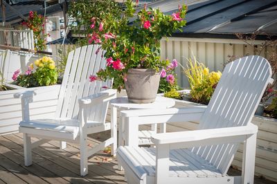 Potted plants on table in yard