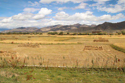 Scenic view of landscape against sky